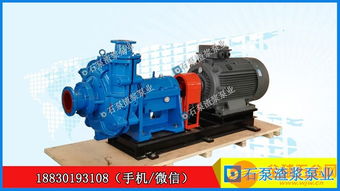 100zjg i b42渣漿泵尾礦泵洗煤廠(chǎng)渣漿泵廠(chǎng)家